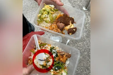 林女士的丈夫包了两份菜饭，其中一盒里竟然有一只蜈蚣。（曾美玲摄）
