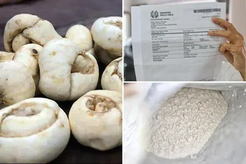 李太太称，她当时鬼使神差下刷卡购买藏贝粉，最后发现花了近2000新元购买，事后已在两地报警。左图为藏贝磨成粉前的样子。（徐颖荃摄、示意图、淘宝截图）