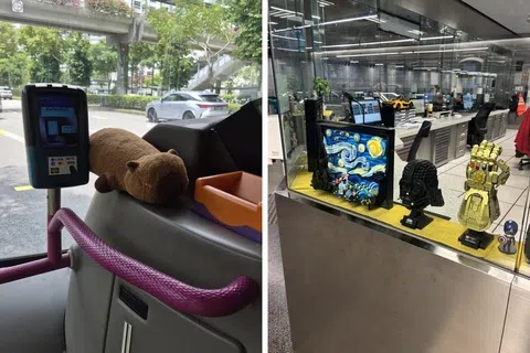 乘客范芷瑜说，她上星期四（9月24日）早上约10时乘搭104号巴士，在上车刷卡的同时，注意到读卡机旁边摆着一只可爱的卡皮巴拉毛绒玩具。（取自互联网）
