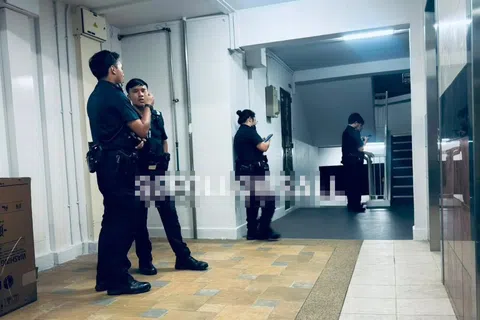 一名9岁女童疑遭一名14岁少年性骚扰，热心居民及时介入报警。（取自Instagram）