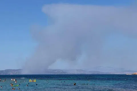 8月16日，希腊萨拉米纳地区野火肆虐，浓烟滚滚。（路透社）