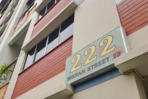 这起命案发生于2022年4月28日下午4时许，地点在碧山23街第222座某组屋单位内。被告苏米雅迪在午夜时分，才在碧山一带被警方逮捕。（档案照片）