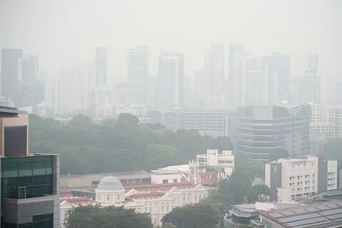 南洋理工大学研究人员估计，2015年持续两个月的烟霾给新加坡造成约18亿3000万元经济成本，相当于当年国内生产总值（GDP）的0.45%。（海峡时报）