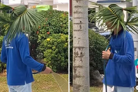 一名工人将树叶编成“帽子”戴在头上，顶着烈日继续浇水。（取自网络）