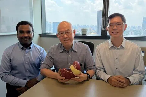 参与研究的专家包括：新加坡国立癌症中心高级生物信息学专家卡尔蒂克·塞卡尔（Karthik Sekar，左起）、项目首席研究员兼新加坡中央医院和新加坡国立癌症中心外科与肿瘤外科系高级顾问周嘉豪教授，以及基因组研究院副院长（研究）谭伟樑副教授。（国立癌症中心提供）
