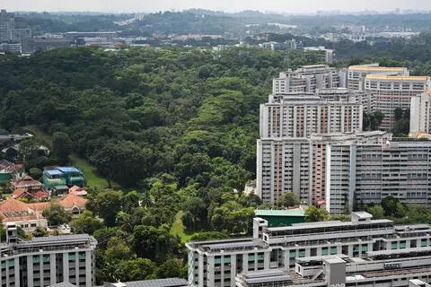 斜阳大道的研究范围包括马裕树林和毗邻的金文泰邻里公园，共约23公顷。其中约15公顷拟用于兴建预购组屋，其余约八公顷绿地予以保留。（档案照片）