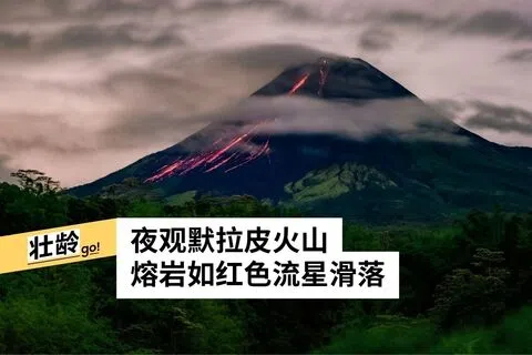 毕强摄