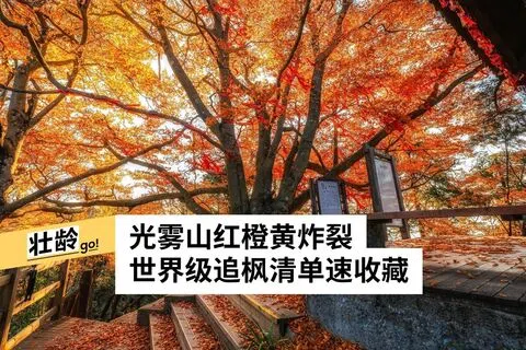 巴中文旅集团提供