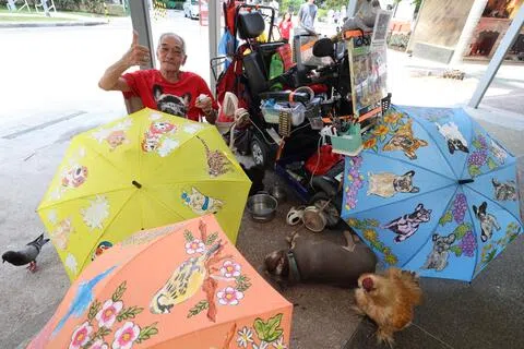 77岁的高桥晃（Akira Takahashi）经常坐在中峇鲁市场一角，手里拿着画笔在雨伞上作画。（梁麒麟摄）