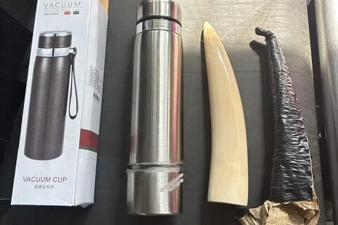 被告哈菲勒丁锯开保温瓶外壳进行改装，以将象牙塞入其中。（国家公园局提供）