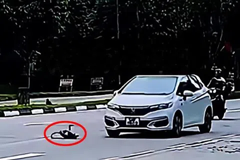 一只猴子在冲过马路时被汽车撞翻。（视频截图）