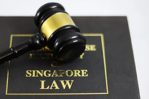 虽然有前科和接获警告，但女子屡劝不改，因此星期五将被控上法庭，面对六项抵触公共秩序法令的控状。若罪成，可被判最高3000元罚款。　（示意图）