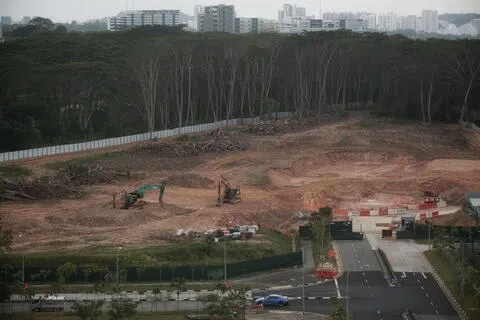 新加坡去年流失61公顷树林 相当于85个足球场