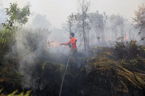 印尼救火员在中加里曼丹省一处林火灾区进行灭火行动。总统普拉博沃说，各地方政府和相关机构正全力出动，希望灾情可在两周内获得解决。（路透社）