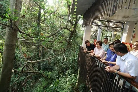 圣淘沙打造气候适应中心 预计年底启用