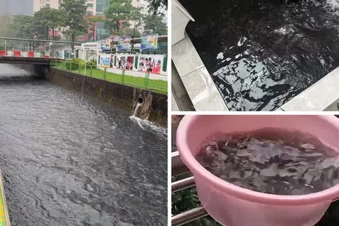 星期四新加坡全岛下雨后，不少民众惊觉雨水呈墨黑色。（取自小红书用户DZ、ComplaintSingapore脸书）