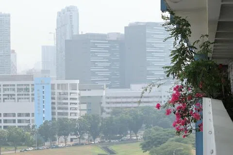 新加坡过去24小时PSI最高为79，烟霾情况已经较三天前（9月9日）照片中的PSI 97低。照片摄于9月9日下午从中央区眺望加冷盆地工业区。（萧紫薇摄）