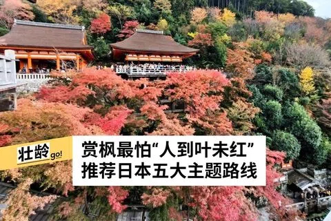 孙慧纹摄
