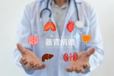 社会政策统筹部长兼保健卫生部长王乙康指出，器官需求与合适捐赠者之间存在差距，是全球都面对的挑战，并非我国独有。（iStock示意图）