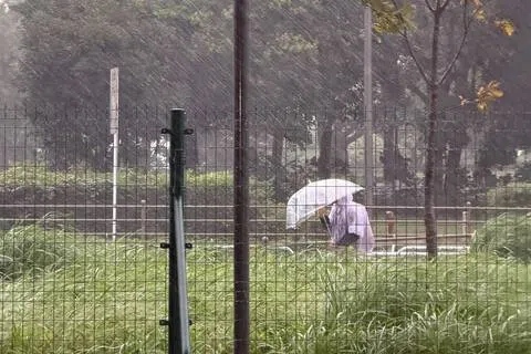 强风夹着暴雨非常猛烈，每一步都走得很小心。（陈芷馨摄）