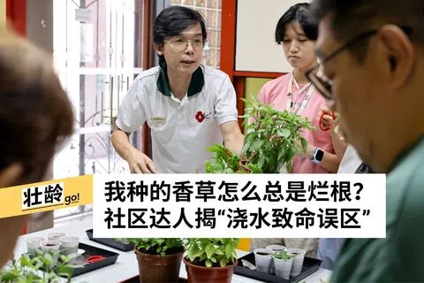 龙国雄摄