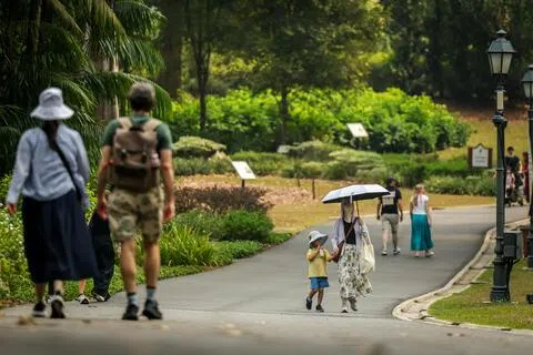 年长者、儿童、孕妇，以及患有慢性心脏或肺部疾病的人较容易受到烟霾影响。（叶振忠摄）