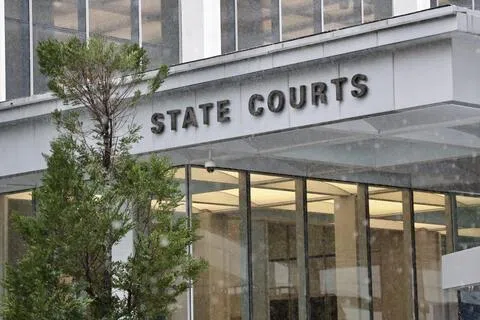 被告林源进（34岁）承认九项罪名，包括抵触有组织犯罪法、抵触关税法，以及抵触动物与飞禽法。他同意其余10项罪名交由法官下判时一并考虑，星期五（9月11日）被判刑。（档案照片）