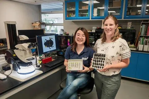 南洋理工大学亚洲环境学院副教授斯莱德（Eleanor Slade，右）和研究员王欣睿带领研究团队，在中央集水区自然保护区的林地及林冠层共50个地点采集540余只粪金龟。（南洋理工大学提供）