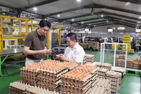 本地蛋场引进人工智能系统 让“坏蛋”无所遁形