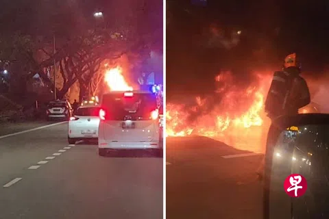根据社媒流传的现场视频，涉事车辆停在快速公路路肩，整个车身已被熊熊烈火吞噬。火势十分迅猛，火焰窜至数米高并冒出大量黑烟，场面骇人。（取自“sgfollowsall”Instagram）