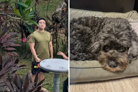 踹狗的男子约30多岁，身材魁梧。狗主称爱犬受伤后情绪低落。（受访者提供）