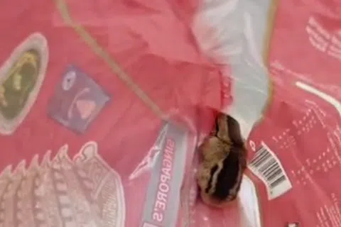 视频截图