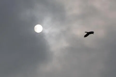 本地24小时空气污染指数（PSI）从星期一（28日）中午起就逐渐攀升。图摄于星期二早上8时45分左右，大巴窑等东部地区的24小时PSI为162。（叶振忠摄）