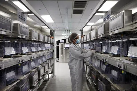 AI需求强劲带动 新加坡制造业产值8月同比增15.4%