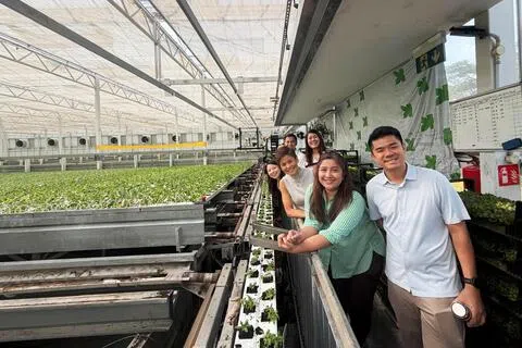 行动党议员拟提呈动议 促加强食品保障和减少食物浪费