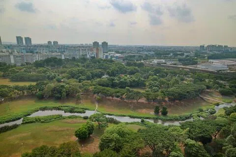 碧山—宏茂桥公园将增设本地第三个社会企业社区城市菜园。按计划，菜园面积约为0.5公顷，其中至少两成面积规划为社区花园。（龙国雄摄）
