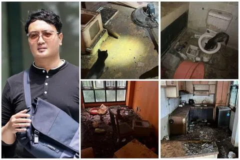 任宠物猫失控繁殖至71只其中9只死亡 饲主疏于照顾监16周