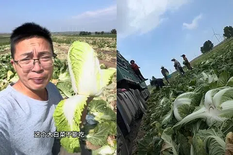 中国博主“渔猎齐哥”（左图）上周六（8月22日）发布一段视频，曝光河北康保县大白菜收购商使用甲醛溶液保鲜。（互联网）
