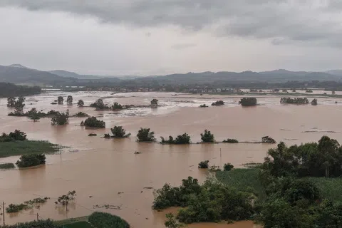 受台风“紫檀”带来的强降雨影响，广西防城港市上思县明江河水位星期天（8月23日）暴涨，沿河区域多条街道被洪水浸泡。（中新社）