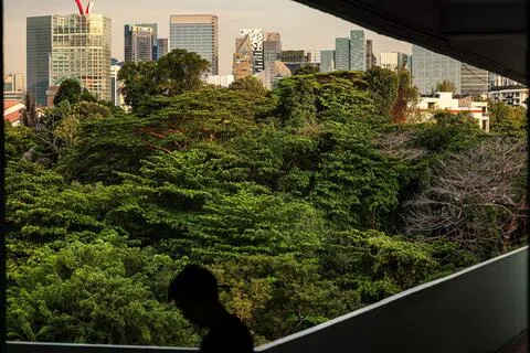 CIX目前由星展银行、新加坡交易所、渣打银行、瑞穗金融集团，以及淡马锡成立的脱碳投资平台GenZero共同持有。（商业时报）