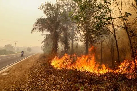 图为10月13日，印尼中加里曼丹省帕朗卡拉亚（Palangkaraya）武吉巴图（Bukit Batu）地区的林火现场。（法新社）
