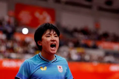 张本智和在第四场比赛3比0完胜王楚钦后，激动庆祝。（路透社）