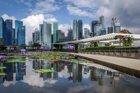 报告指出，新加坡是区域AI应用最成熟的市场，AI代理的回报率约为8至10倍。（叶振忠摄）