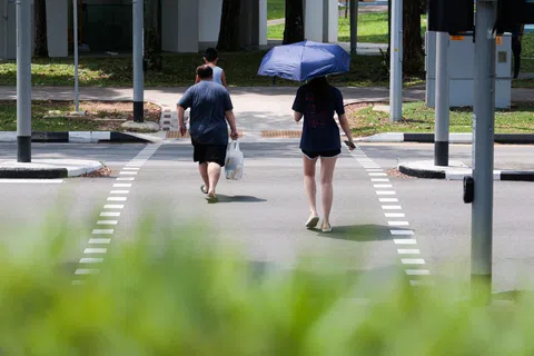 新加坡今年8月的月均气温，达到29.6摄氏度。（李冠卫摄）