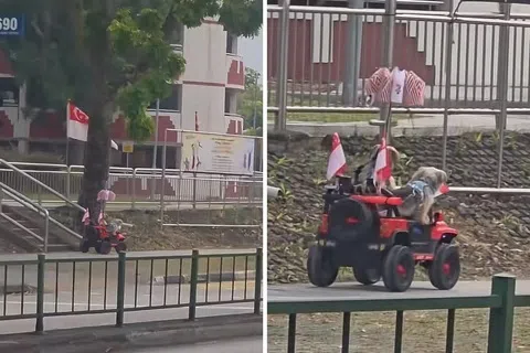 裕廊西人行道上有两只狗坐着机动玩具吉普车缓缓移动。（受访者提供）