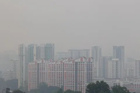 国家环境局官网的数据显示，截至星期四清早6时，本地24小时空气污染指数（PSI）仍处于不健康水平，西部最严重，达161；中部147、东部128、南部120、北部113。（蔡家增摄）