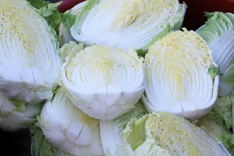 中国爆“甲醛白菜”事件 新加坡食品局加强检测