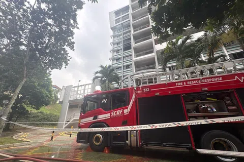 宏茂桥4道第254座组屋七楼的一个单位失火。火势扑灭后，两名住户和一名民防人员送院。（取自新加坡民防部队脸书）