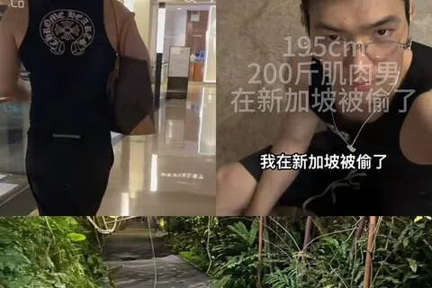 中国游客首次来新加坡旅游，在滨海湾花园观看灯光秀时，名牌包却被窃贼偷走。（截图自小红书）