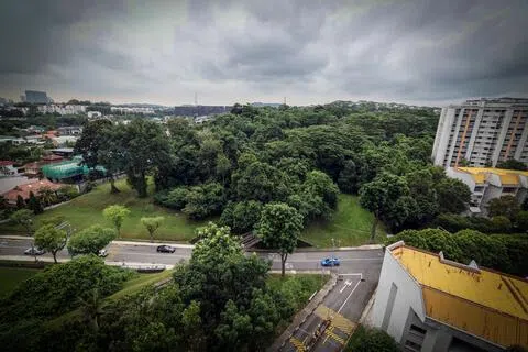 政府已优先重新发展棕地 才开发吉门营房和马裕树林
